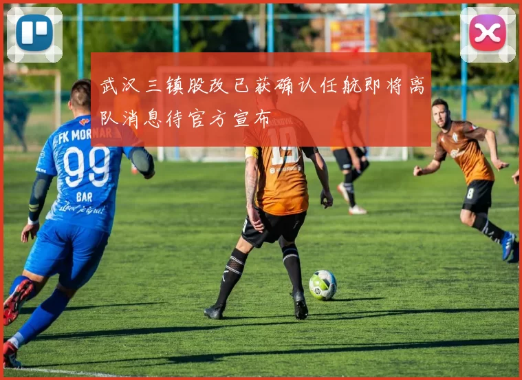 武汉三镇股改已获确认任航即将离队消息待官方宣布